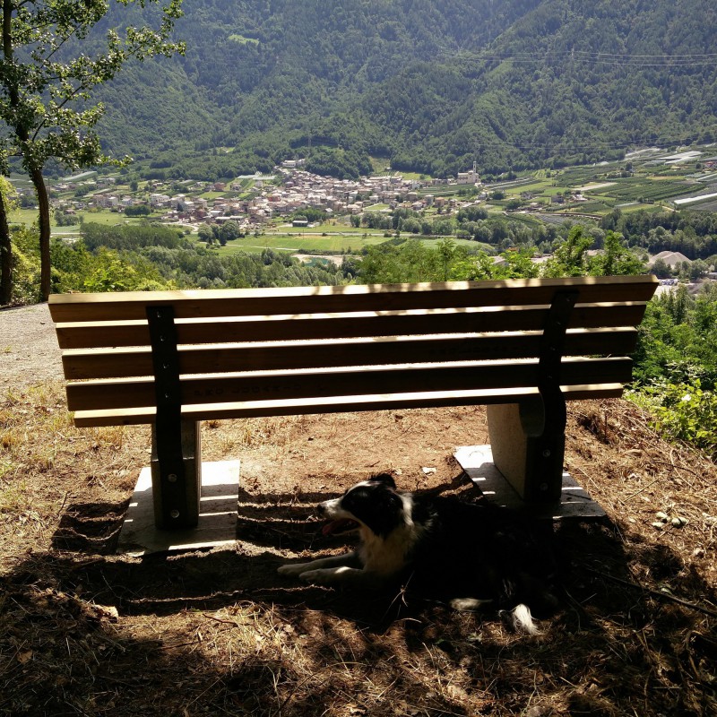 2 Panchina tornante Madonnina   veduta