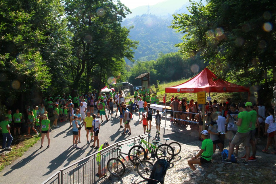 1° Memorial Nives